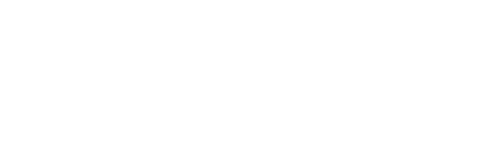 The Perigon